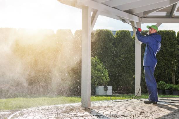 Best House Exterior Washing  in Magnolia Springs, AL