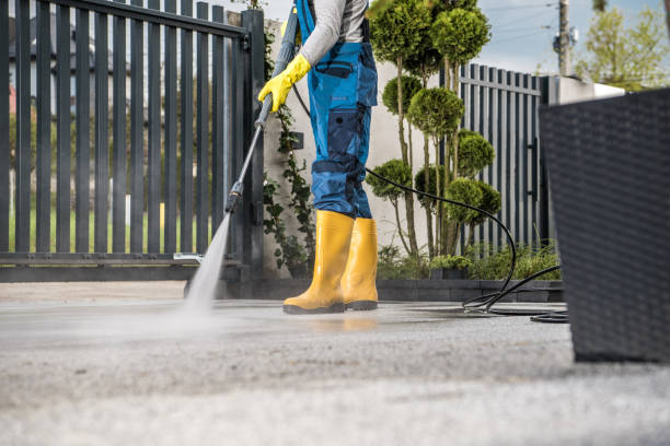 Best Sidewalk and Walkway Cleaning  in Magnolia Springs, AL