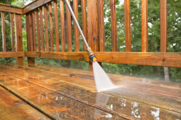 Best Fence Cleaning  in Magnolia Springs, AL